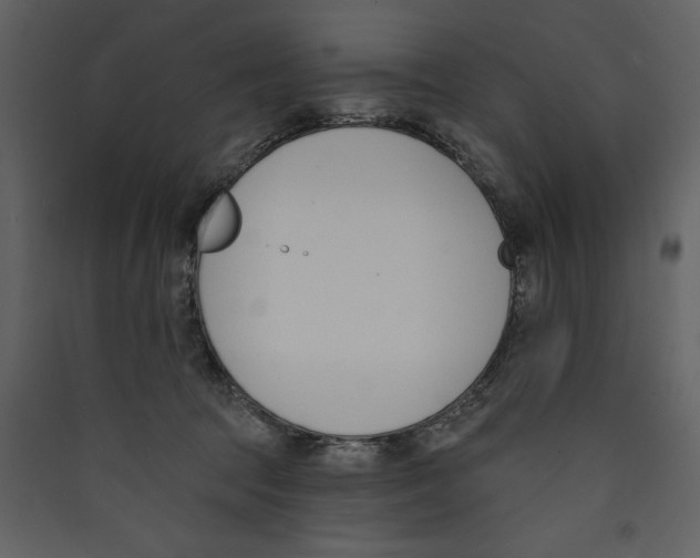 X0000089390369200707131724