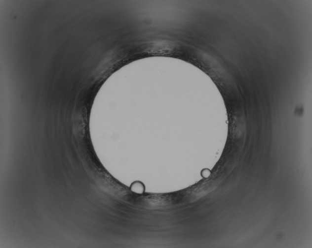 X0000089390370200707131724