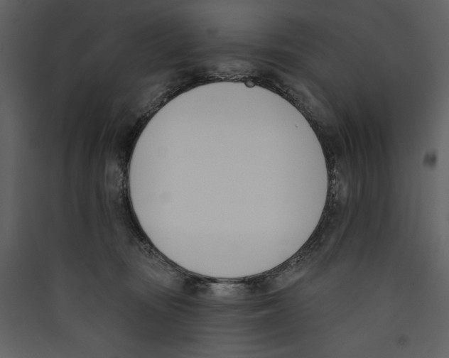 X0000089390371200707131724
