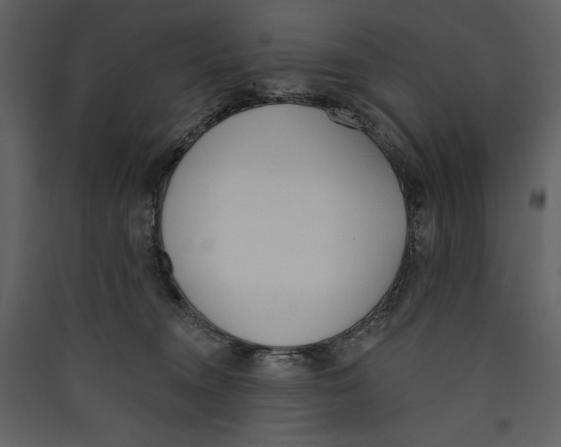 X0000089390372200707131724