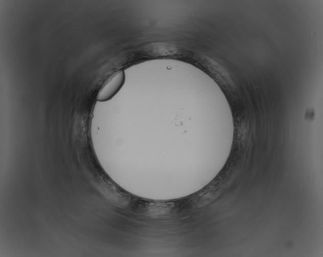X0000089390373200707131724