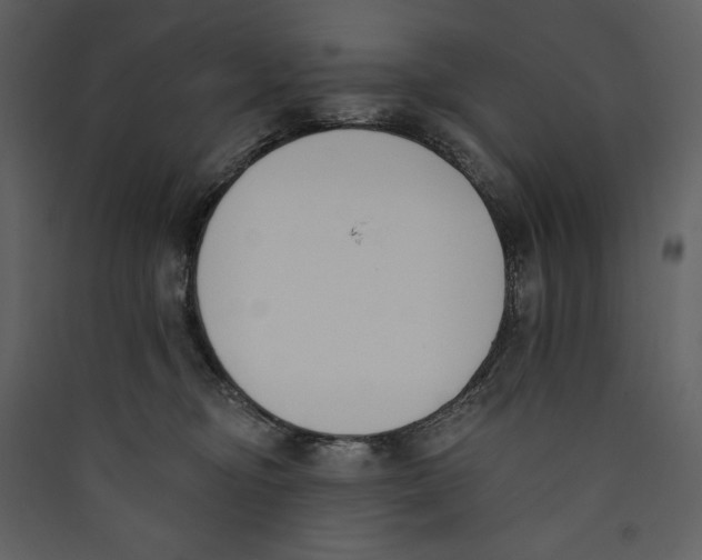 X0000089390374200707131724