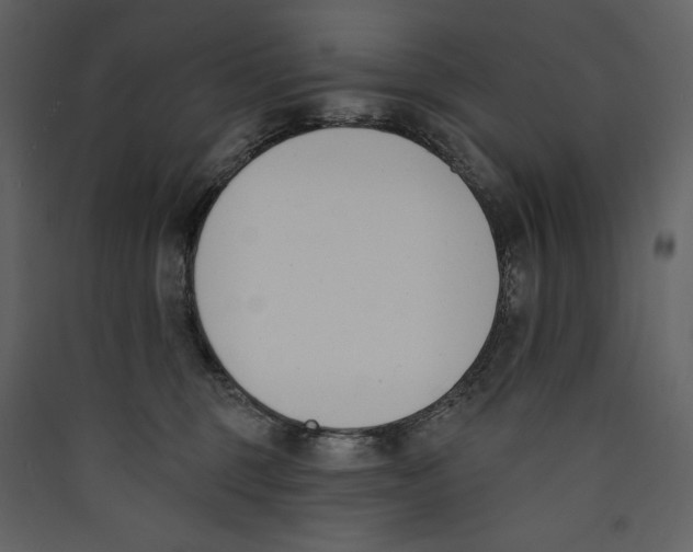 X0000089390375200707131724