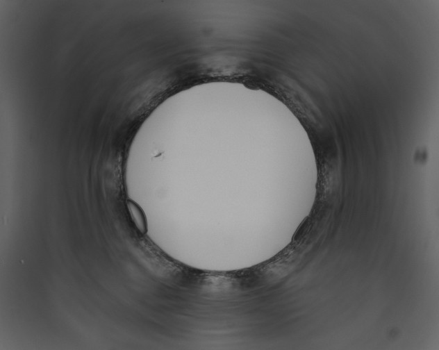 X0000089390376200707131724