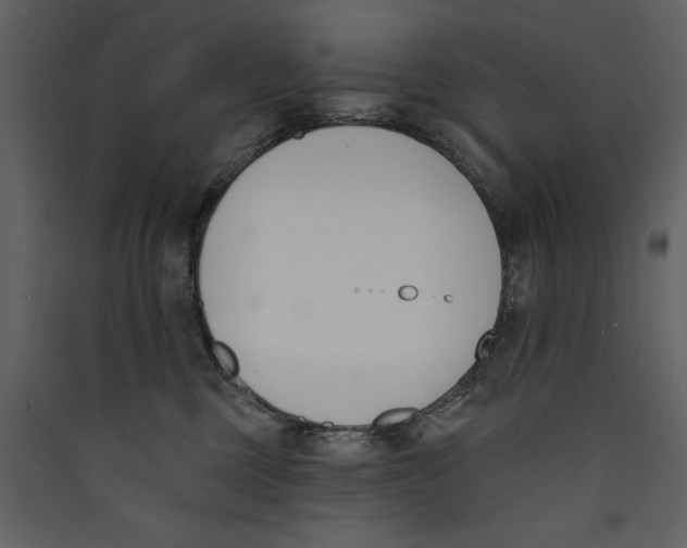 X0000089390377200707131724