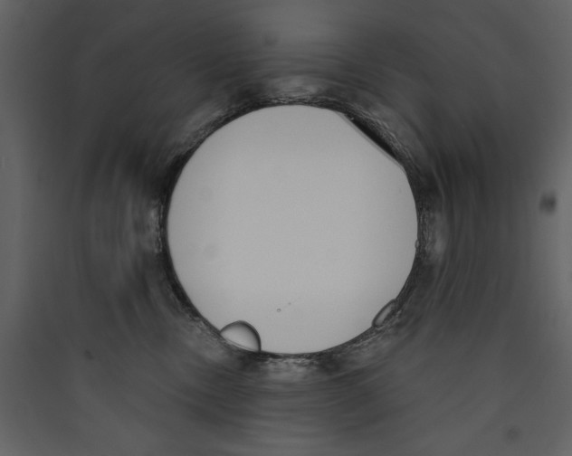 X0000089390378200707131724