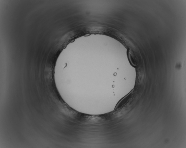 X0000089390379200707131724