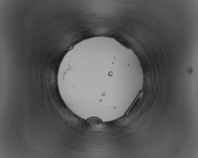 X0000089390380200707131724