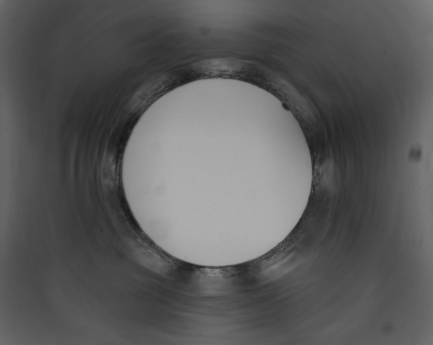 X0000089390381200707131724