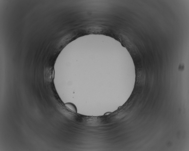 X0000089390383200707131724