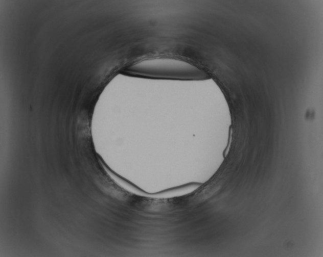 X0000089390384200707131724