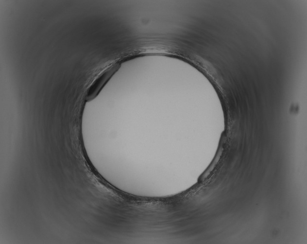 X0000089390385200707131724