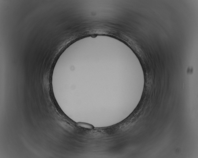 X0000089390386200707131723