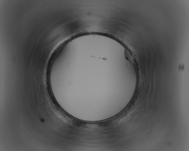 X0000089390391200707131723