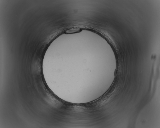 X0000089390393200707131723