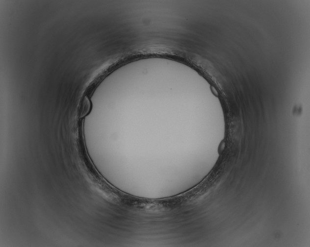 X0000089390395200707131723