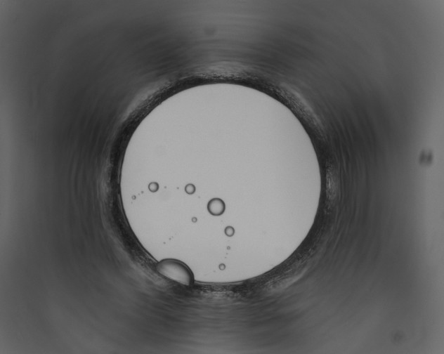 X0000089390396200707131723