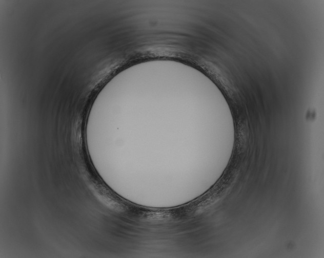 X0000089390398200707131723