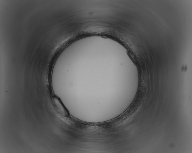X0000089390399200707131723