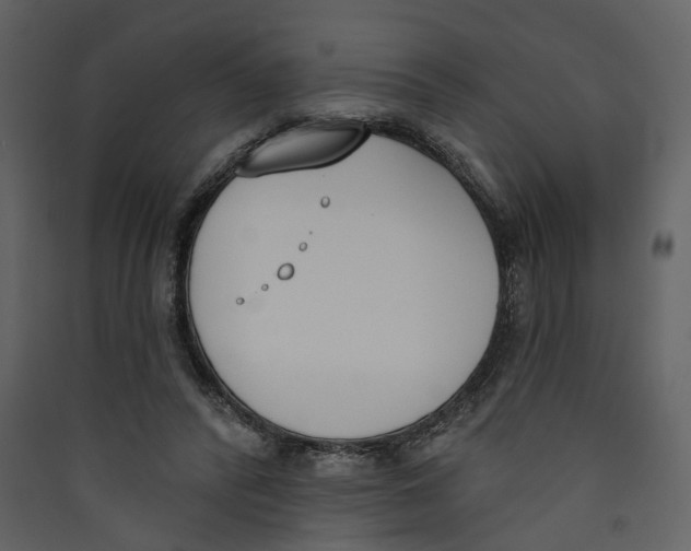 X0000089390400200707131723