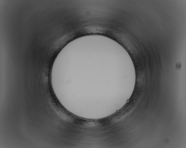 X0000089390402200707131723