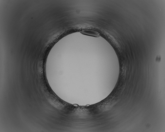 X0000089390403200707131723