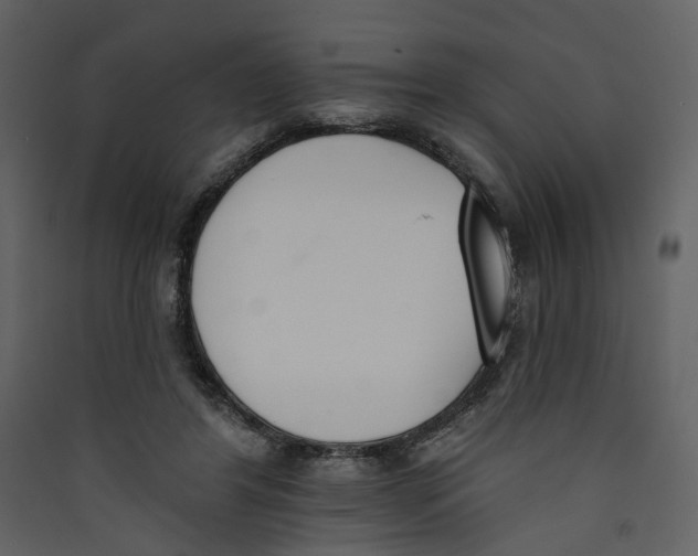 X0000089390404200707131723