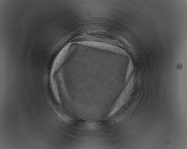 X0000089390405200707131723