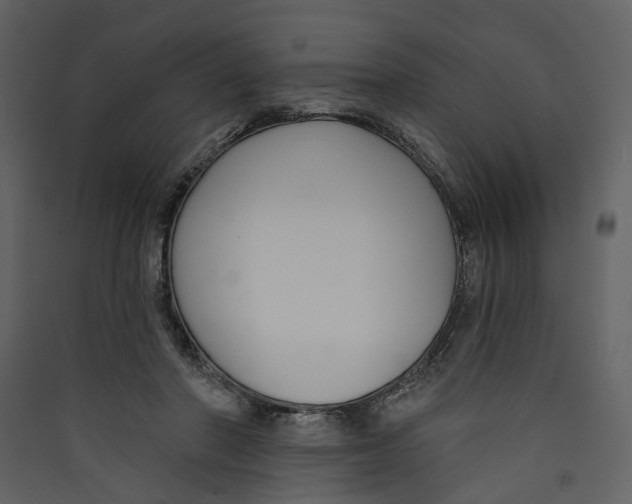 X0000089390406200707131723
