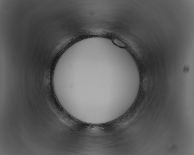 X0000089390407200707131723