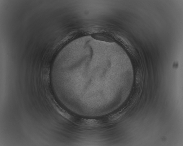 X0000089390409200707131723