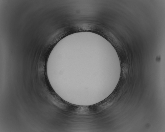 X0000089390410200707131723
