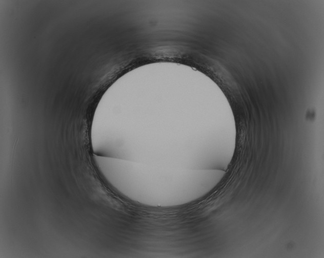 X0000089390411200707131723