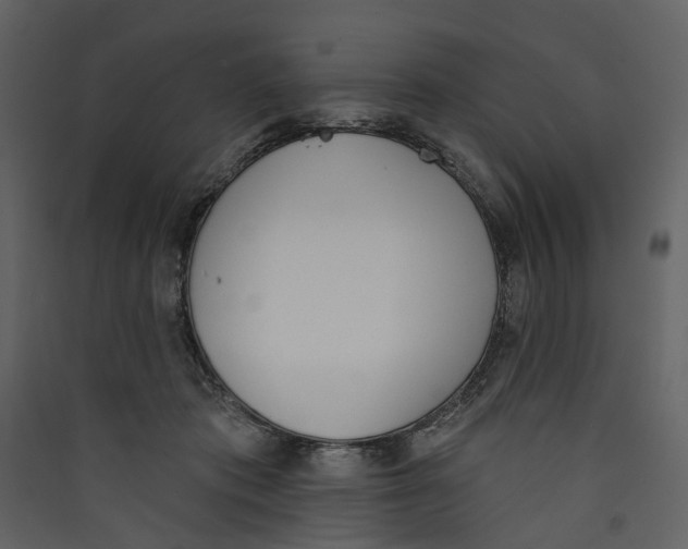 X0000089390413200707131723
