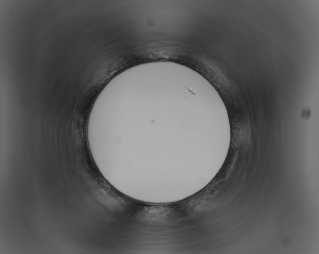 X0000089390414200707131723