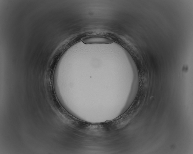 X0000089390415200707131723