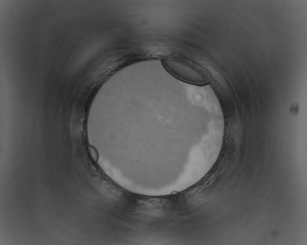 X0000089390417200707131723