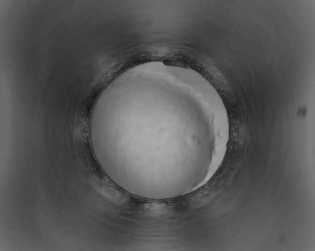 X0000089390419200707131723