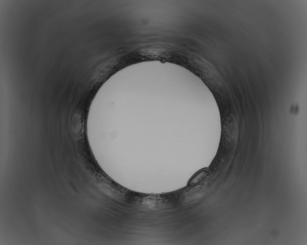 X0000089390420200707131723