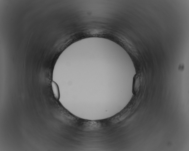 X0000089390421200707131723