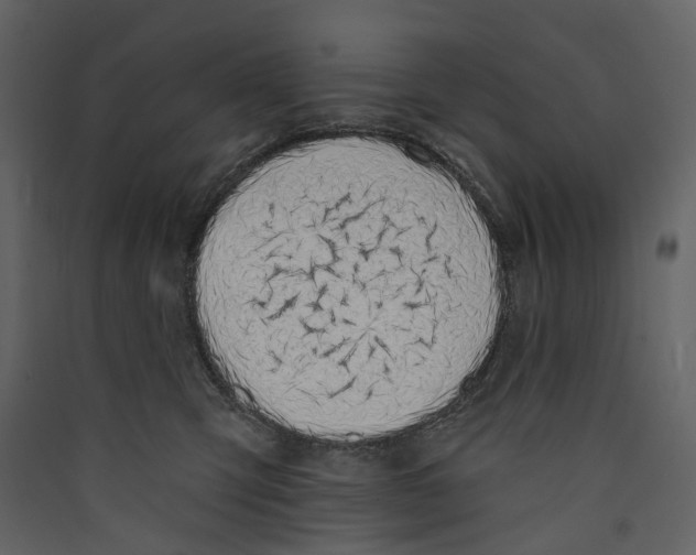 X0000089390423200707131723