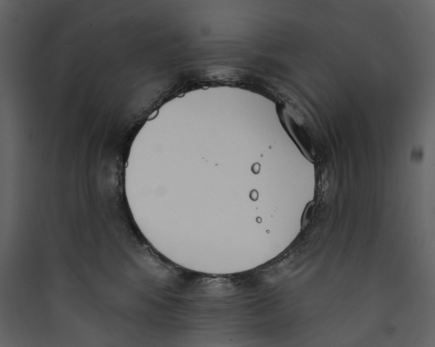 X0000089390424200707131723