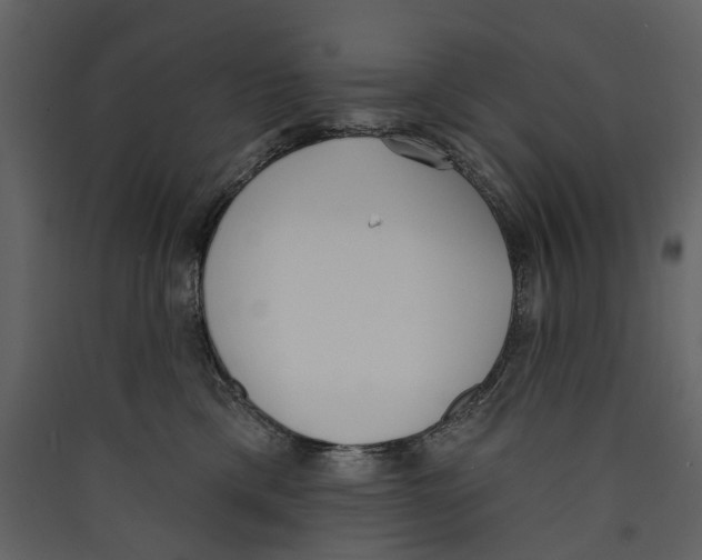 X0000089390425200707131723