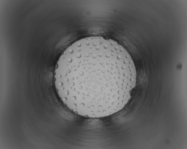 X0000089390427200707131723