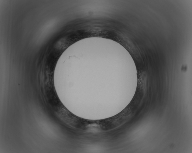X0000089390430200707131723