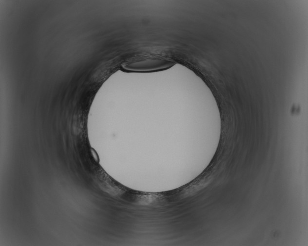 X0000089390432200707131723