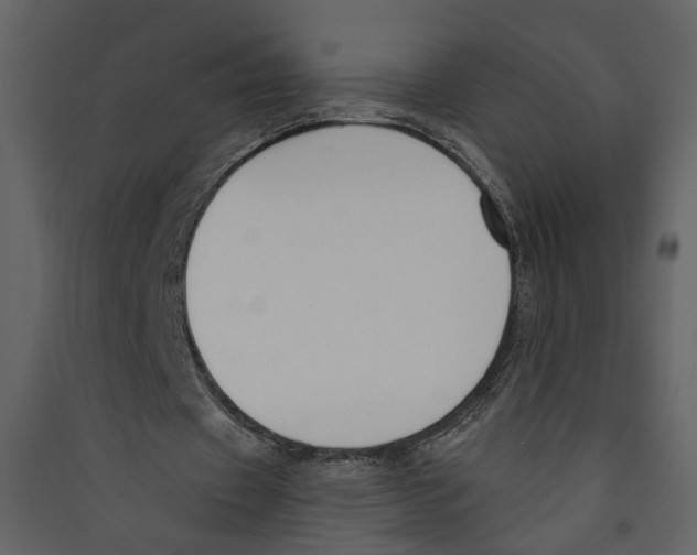 X0000089390433200707131722