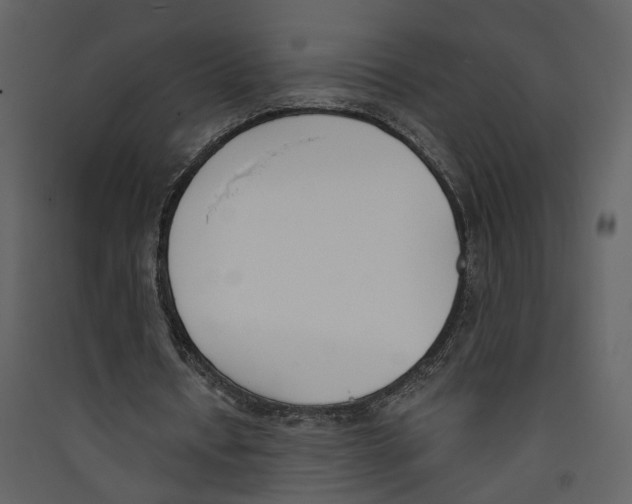 X0000089390434200707131722