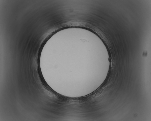 X0000089390438200707131722
