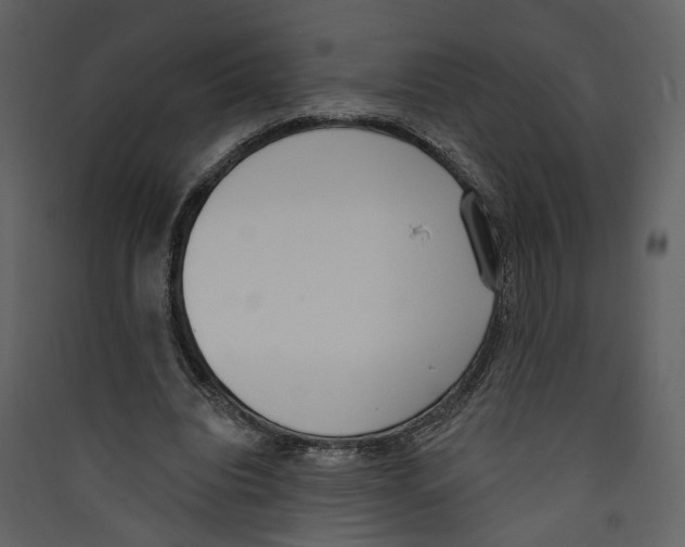 X0000089390440200707131722